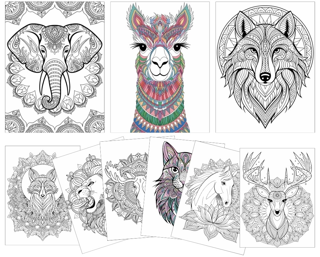 Mandala Coloring Empire